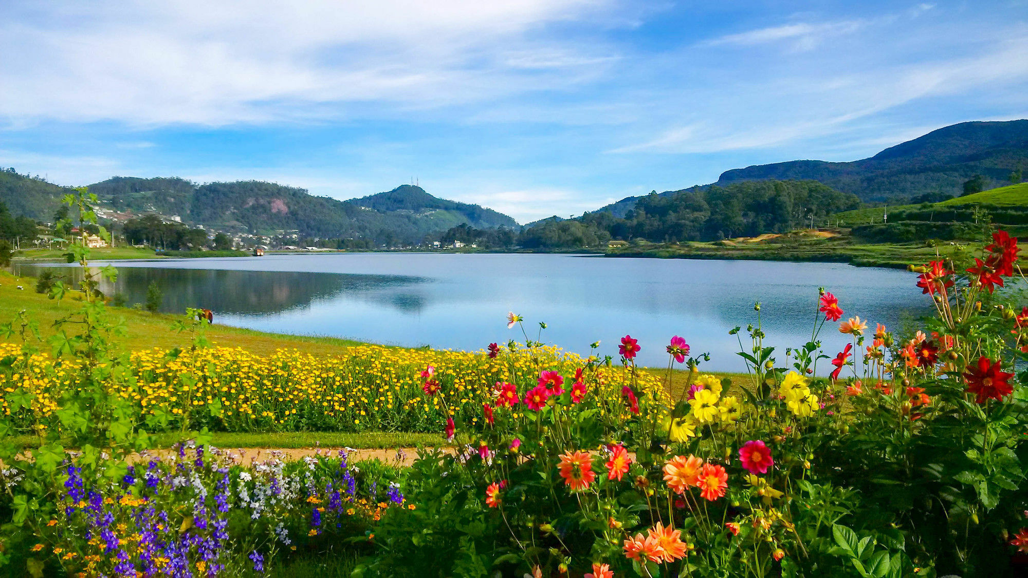 The Tea Garden Villa Nuwara Eliya Exterior photo